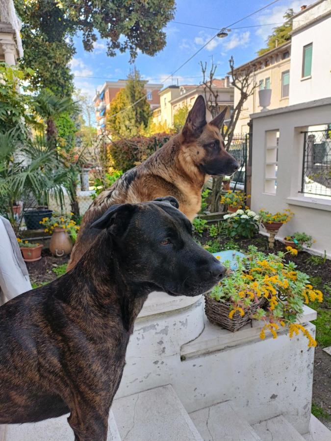 Mavipagi Lägenhet Verona Exteriör bild